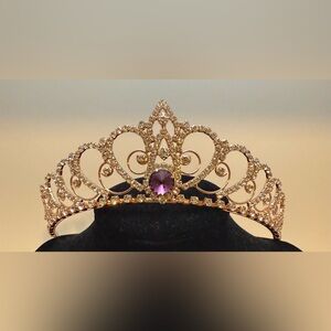 Disney Park Rose Gold and Purple Tiara